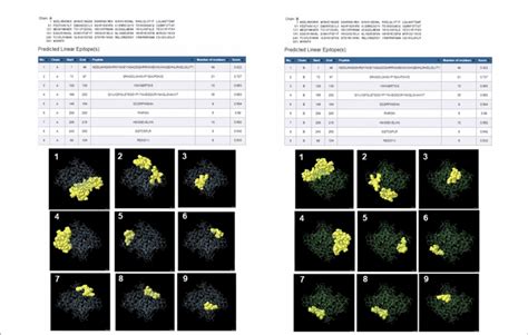 Figure Ellipro Linear Antibody Epitope Ed Structures Prediction Of