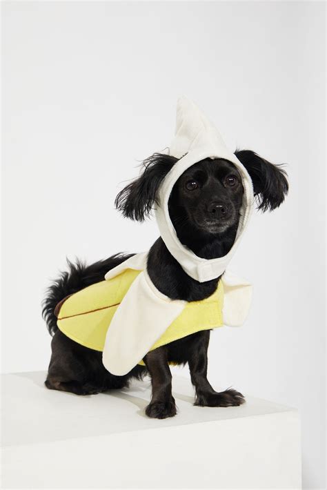 banana pet costume 1
