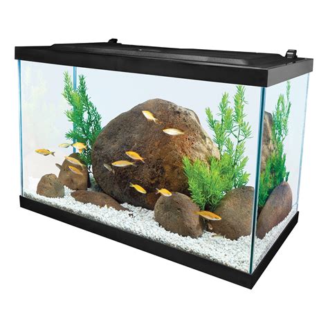 Tetra Open Glass Gallon Rectangular Fish Aquarium Tank Ydy Akdeniz