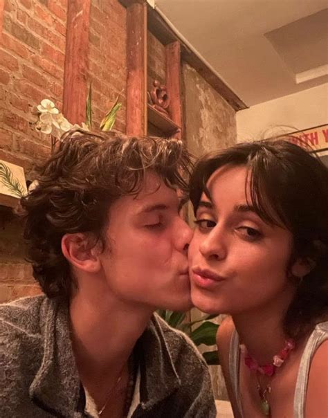 Camila Cabello And Shawn Mendes Breakup Was A Publicity Stunt For Attention Grabbing Proven By