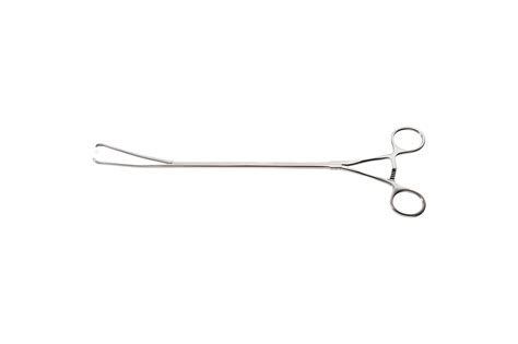 Allis Forcep