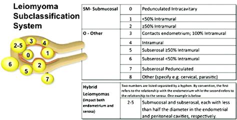 The Figo Myoma Subclassification System Source Munro Mg Critchley Ho