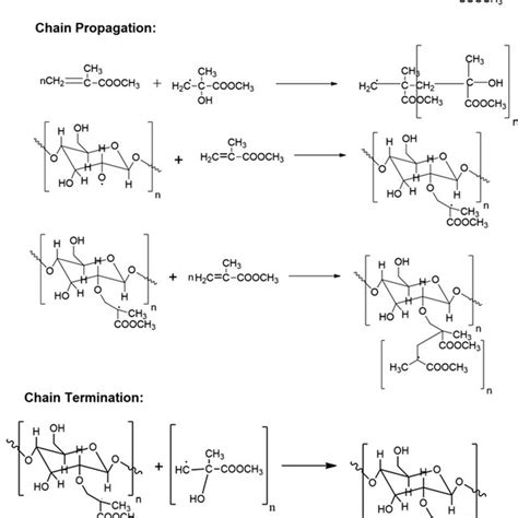 Reaction mechanism of graft copolymerization | Download Scientific Diagram