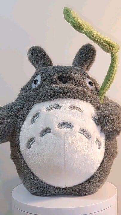 Totoro plush : r/totoro