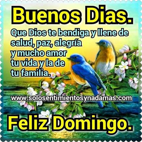 Feliz Domingo Dios Los Bendiga