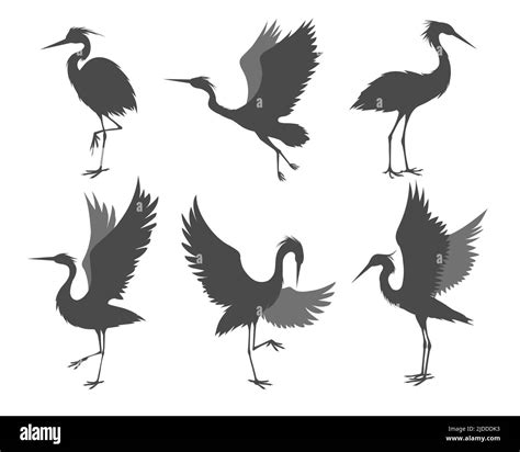 Heron Poses Silhouettes Stock Vector Image And Art Alamy