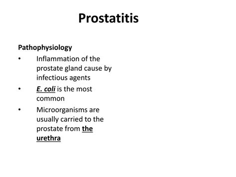 Ppt Prostatitis Powerpoint Presentation Free Download Id3259510