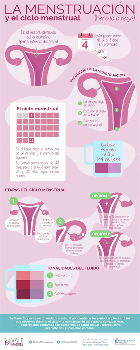 La menstruación Marie Stopes México