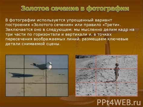Золотое сечение в геометрии - презентация по Геометрии