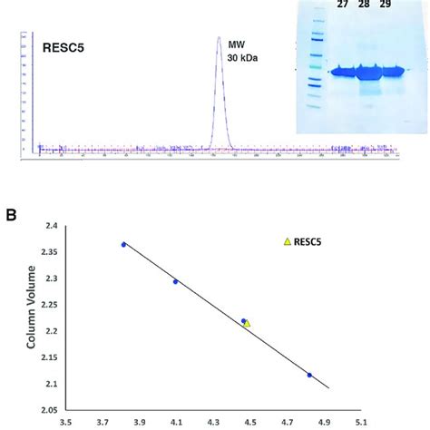 Size Exclusion Chromatography Sec Analyses Of Resc5 Reveals Monomer