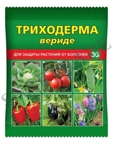 Триходерма вериде