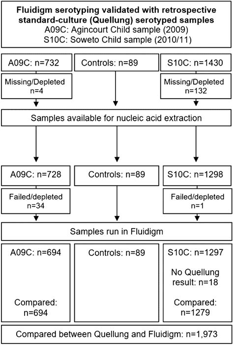 Validation Flowchart Describing The Included Archived Clinical Samples