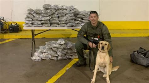 Parker County Sheriff’s Office Seizes 100 Pounds of Marijuana – NBC 5 Dallas-Fort Worth