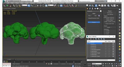 Broccoli Scan 01 Modelo 3d 9 Unknown Max Fbx Free3d