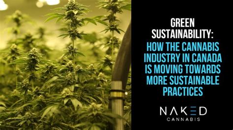 Green Sustainability Becomes A Priority In The Cannabis Industry Market