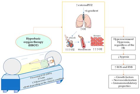 Medicina Free Full Text A General Overview On The Hyperbaric Oxygen