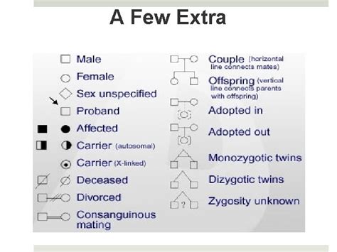 Bellringer Where Are Genes Located Hint Chromosomal Theory