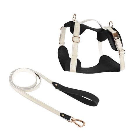 leather dog harness with handle | stylish dog harness