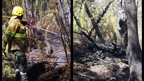 Controlaron Tres Focos De Incendio En Lago Hermoso