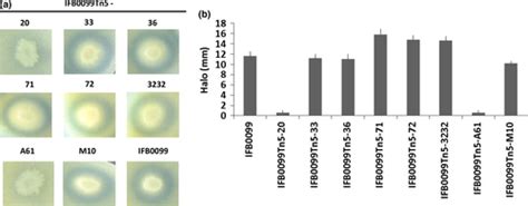 Temperature‐responsive Genetic Loci In Pectinolytic Plant Pathogenic Dickeya Solani Czajkowski