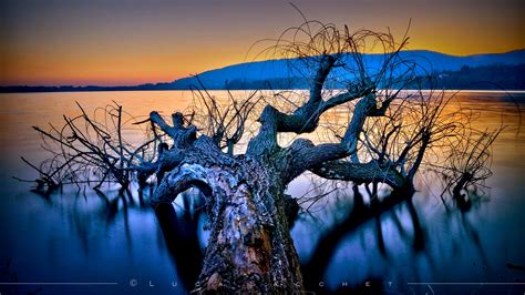 Wallpaper Reflection Blue Nature Tree Water Sky Woody Plant