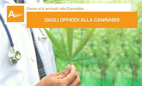 Cannabis Oppioidi Dipendenza Oppioidi Advanced Algology Research