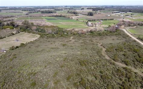 Campo En Canelones Uruguay Hect Reas Churruarin