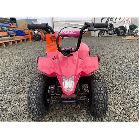 Brand New 2023 Pink Rosso Equad T Ride On 4 Wheeler