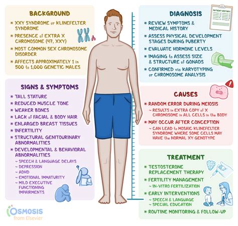 XXY Syndrome: What It Is, Causes, Signs and Symptoms, Diagnosis, and More