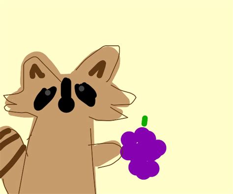 Raccoon eating grapes :) - Drawception