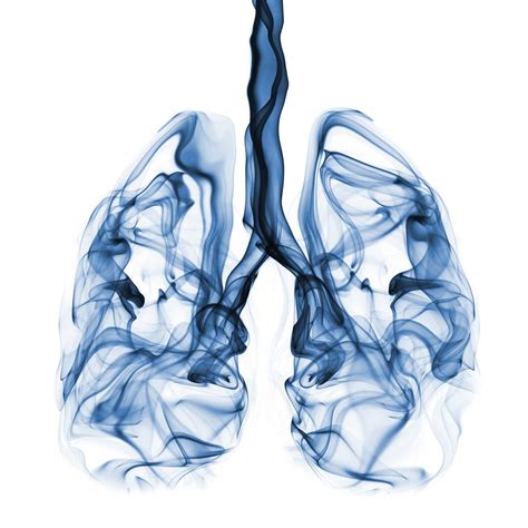 New Study Finds Lungs Safe From Vapes | Smokey News