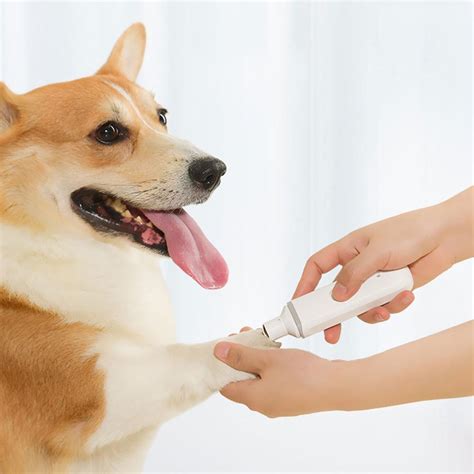 Xiaomi Ponceuse Ongles Lectrique Pour Animaux D Grandado