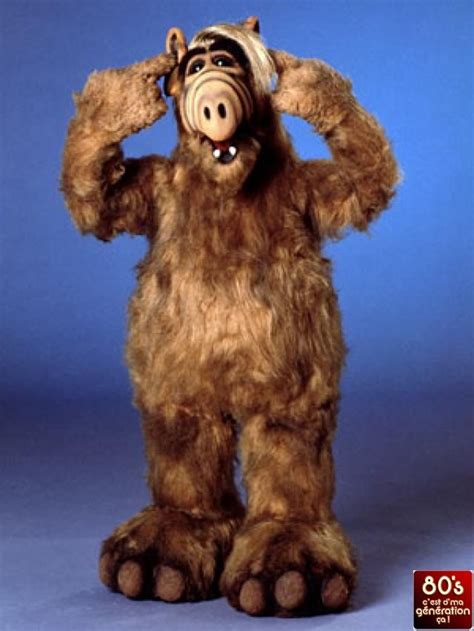 Alf Cestdemagenerationcaetvous Alf Tv Series