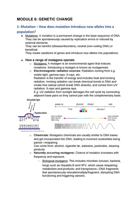 Notes On Module Six Genetic Change MODULE 6 GENETIC CHANGE 1