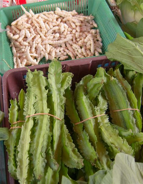 Square Bean Aka Four Angle Bean Winged Bean Goa Bean Ka Flickr