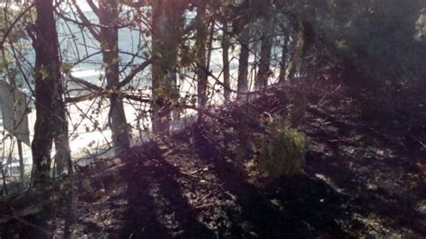 Emergenza Incendi In Basilicata Danni A San Nicola Di Melfi E