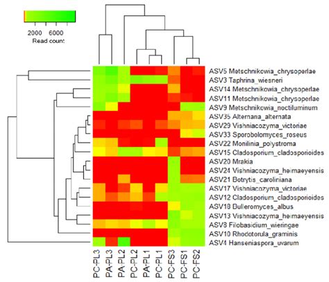 Heatmap Of Fungal Unique Amplicon Sequence Variants Asvs Abundance On