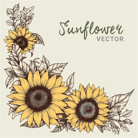 Premium Vector | Hand drawn sunflower corner border design Vector