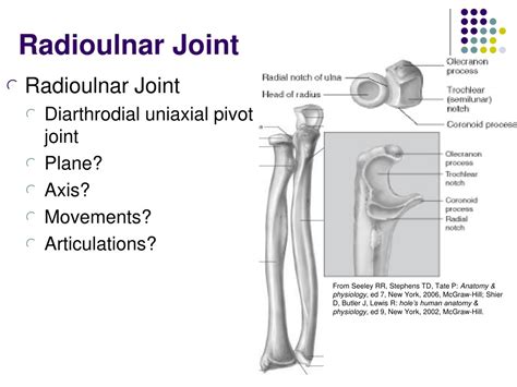 Ppt The Elbow And Radioulnar Joints Powerpoint Presentation Free