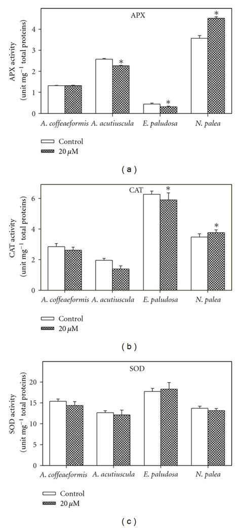 Antioxidant Enzymes Activities Superoxide Dismutase SOD Catalase