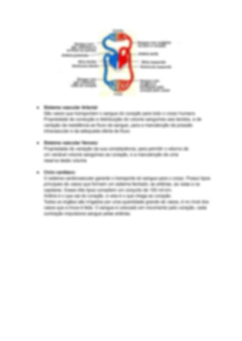 Solution Anatomia Do Sistema Cardiocirculat Rio Studypool