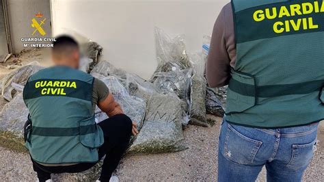 Otro golpe de la Guardia Civil al tráfico de marihuana en Valencia