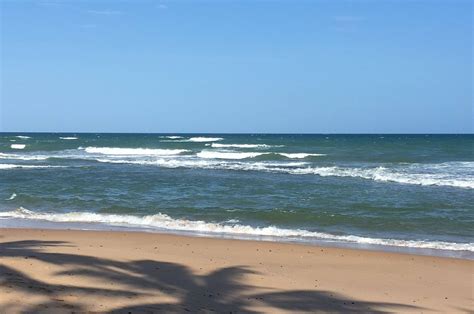 Espécie de raia ameaçada de extinção é capturada e morta em praia na