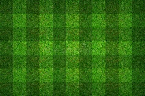 Football Field Texture