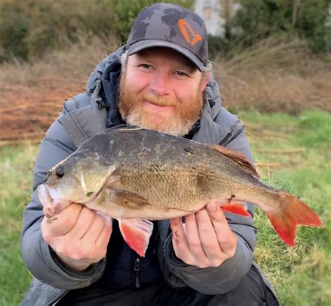 Gro Artige Barschangelei Am River Barrow Angeln In Irland