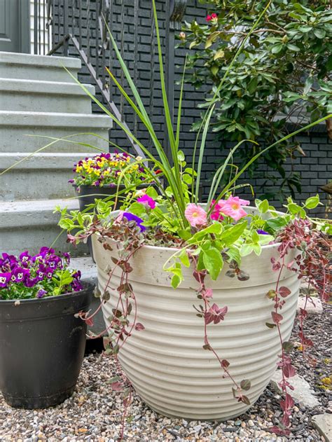 How To Create A Container Garden Just Call Me Homegirl