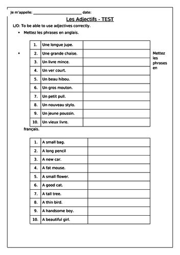 French Adjectives Bags Les Adjectifs Worksheets Teaching Resources