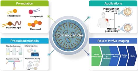 Overall Schematic Illustration Of Lipid Nanoparticles For Delivery Of