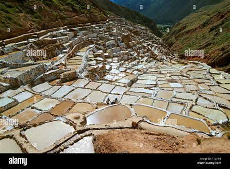 Salineras De Maras Amazing Salt Mines In The Canyon Of The Sacred