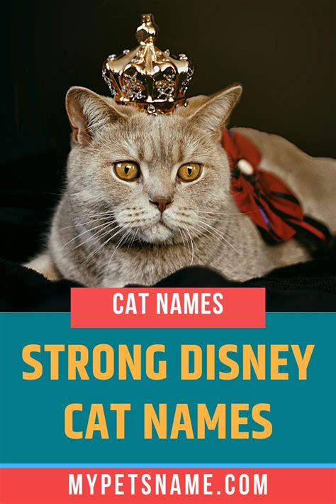 Cats Names In Disney Movies